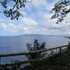 alexis cliff dive resort