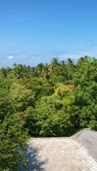 maikaew damnoen resort