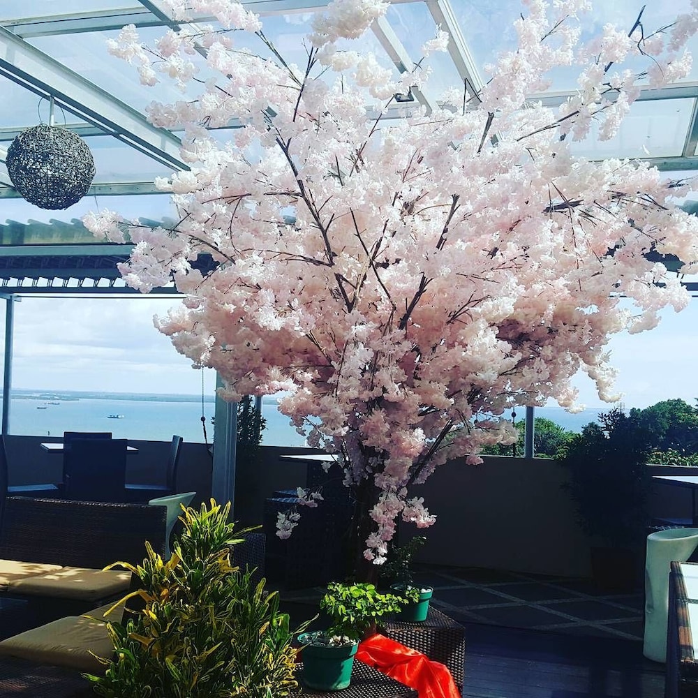 the belagri hotel and convention