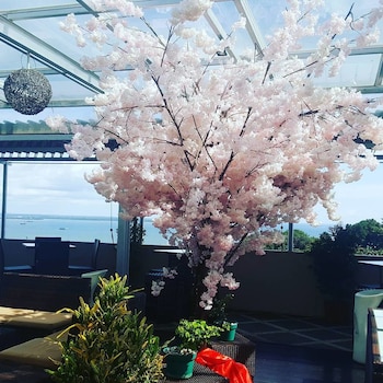 the belagri hotel and convention