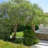 lesvos