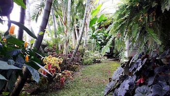 villa san miguel