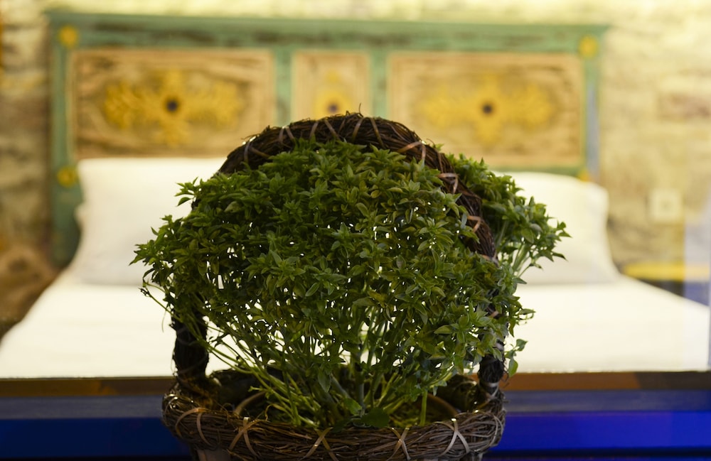 cunda mavi otel adults only