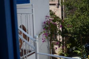 cunda mavi otel adults only