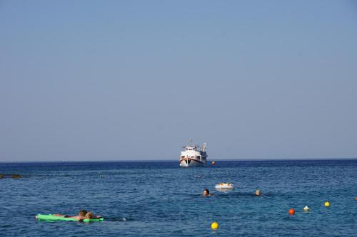 rhodes