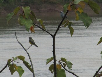 andean wings sotupa eco lodge