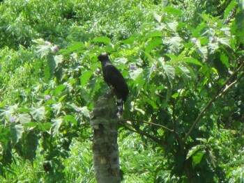 andean wings sotupa eco lodge