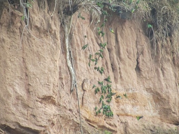 andean wings sotupa eco lodge