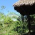tambopata