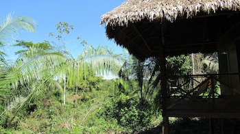 tambopata