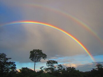 andean wings sotupa eco lodge
