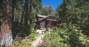 Harmony Ridge Lodge,California>>Alta,3 star