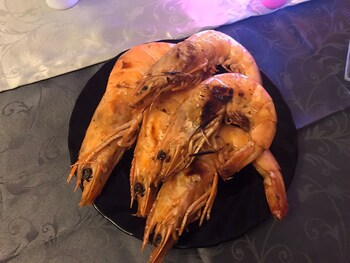 cubillas de rueda