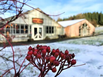 solheimar eco village guesthouse