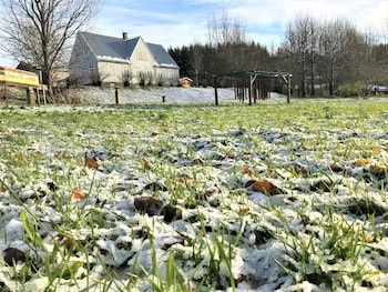 solheimar eco village guesthouse