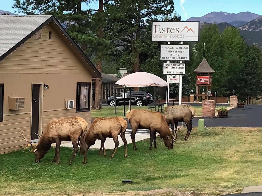 estes park