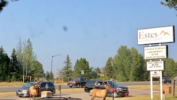 estes park