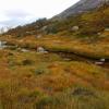 sirdal