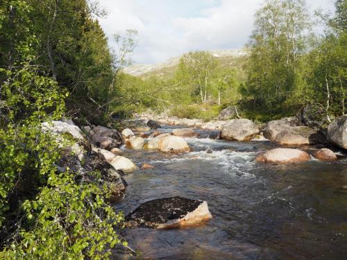 sirdal