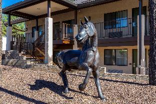 best western paint pony lodge