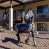 best western paint pony lodge