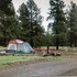 williams