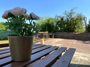 royal tunbridge wells