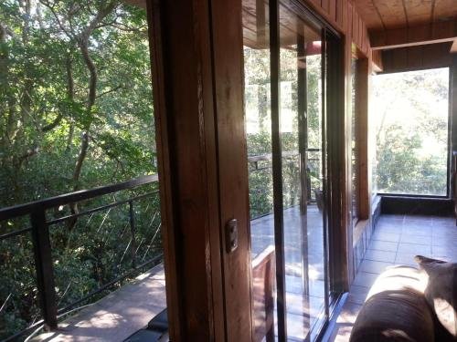 manakin lodge monteverde