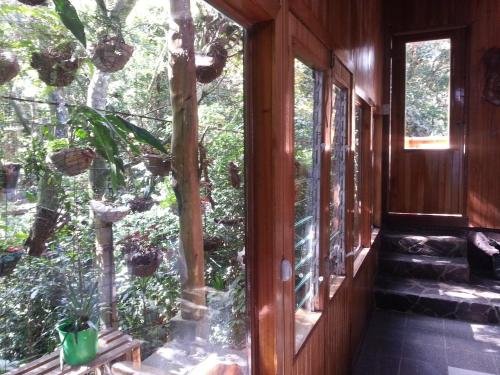 manakin lodge monteverde