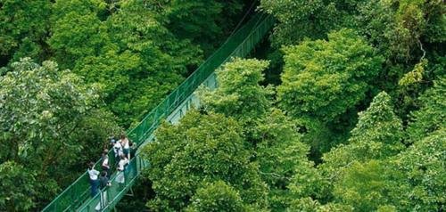 manakin lodge monteverde