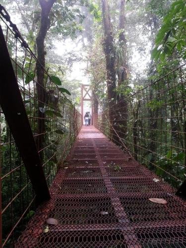 manakin lodge monteverde