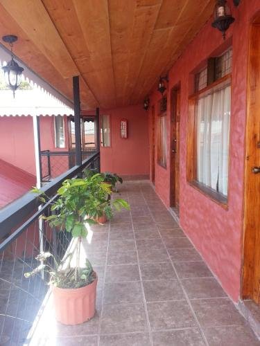 manakin lodge monteverde