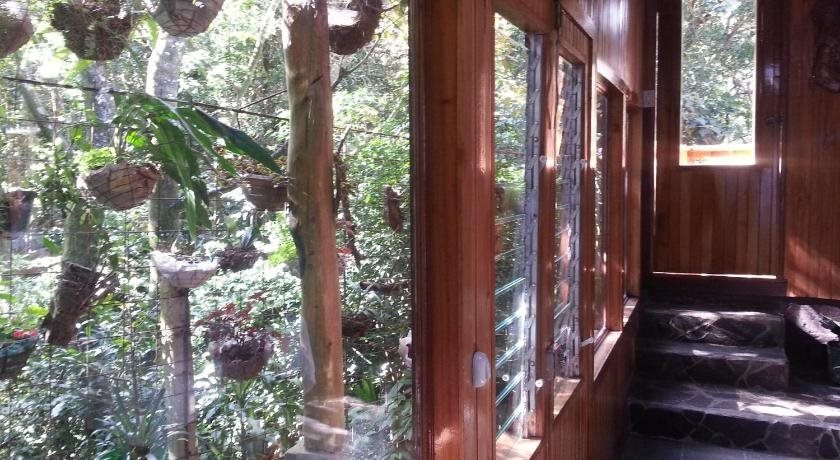manakin lodge monteverde