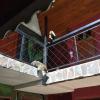 manakin lodge monteverde