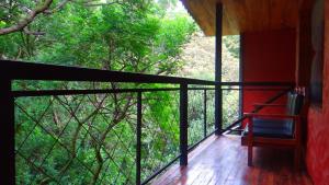 manakin lodge monteverde