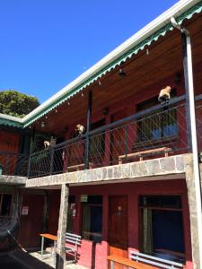 manakin lodge monteverde