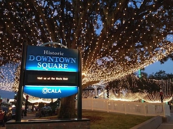 ocala