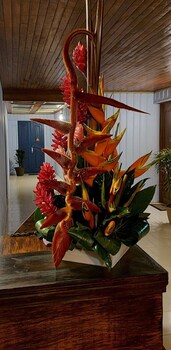hotel tangara arenal