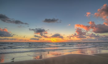 beach resort at south padre island an ihg hotel