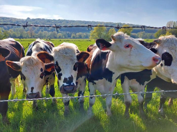 la longere des nuits de varenne