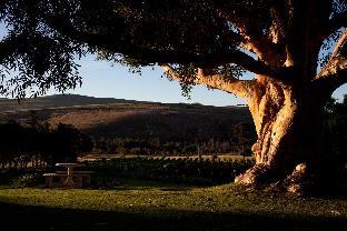 blue gum country estate