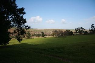 blue gum country estate