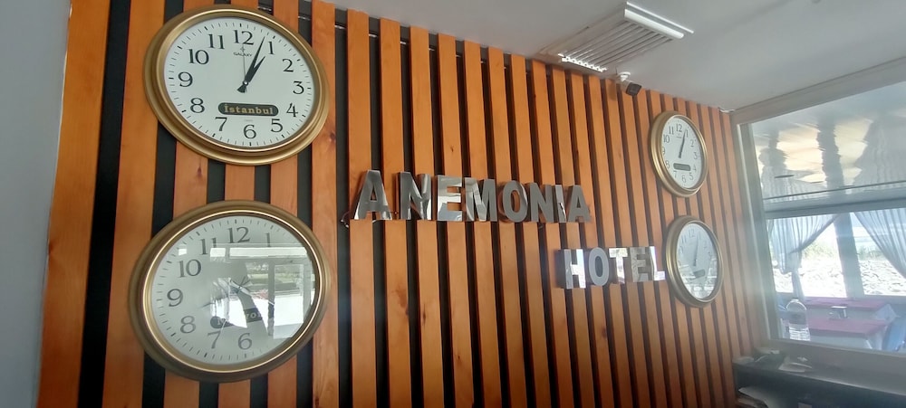 anemonia hotel