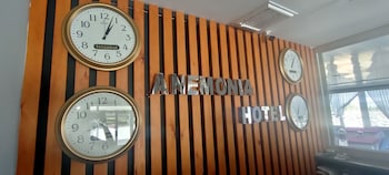 anemonia hotel