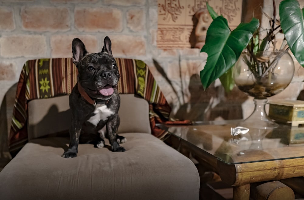 samai lodge holistic living