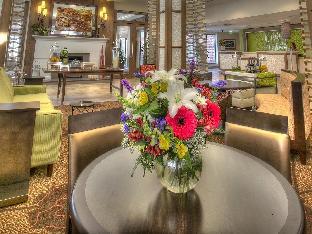 Hilton Garden Inn Stony Brook,Centereach>>Brookhaven,3 star