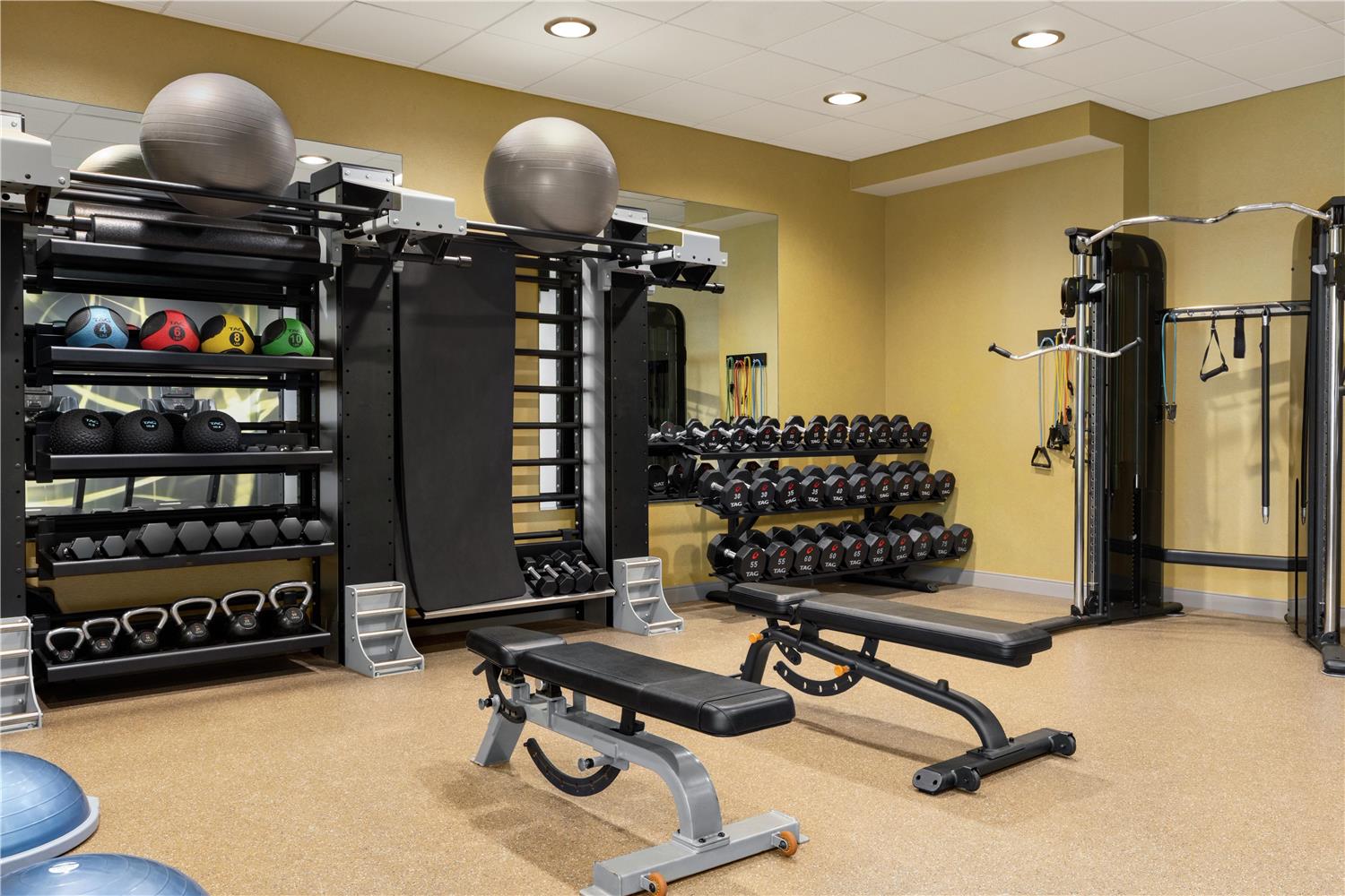 hilton garden inn stony brook