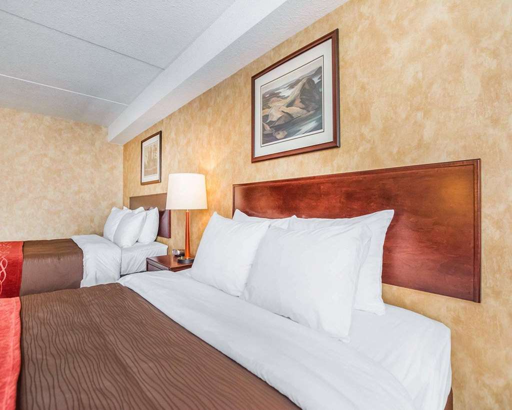 comfort inn sturgeon falls