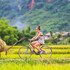 mai chau ecolodge