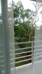 greenspace palawan hotel